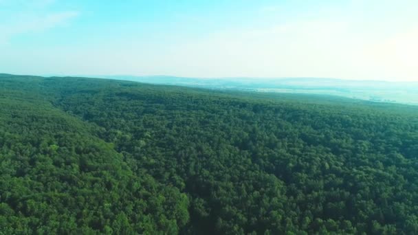 4K aéreo sobrevoando uma bela floresta verde em uma paisagem rural. 4K . — Vídeo de Stock