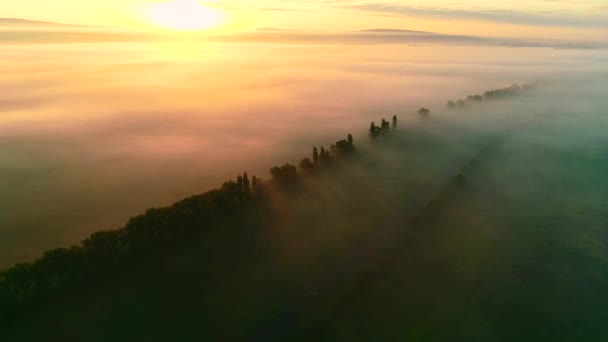 Vue aérienne. Voler dans le brouillard vers le soleil. 4K — Video