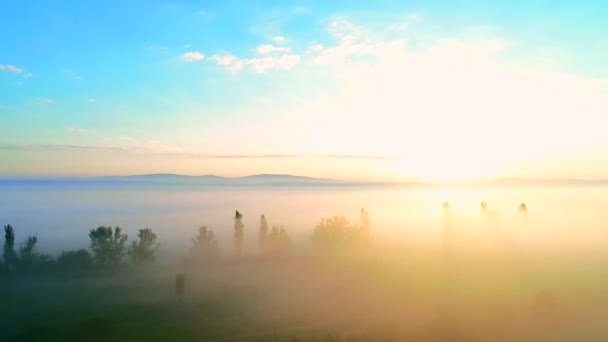 Tôt le matin, un tir aérien survolant des collines couvertes de brouillard brumeux. 4K — Video