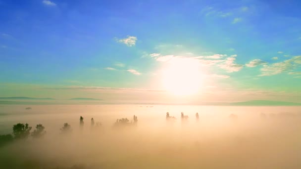 Aérea: hermosa puesta de sol sobre la ciudad. Hermosos colores. Cielo despejado. 4K — Vídeo de stock