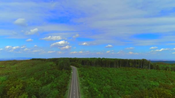 De weg door het bos. Highway bovenaanzicht op zonnige dag. — Stockvideo