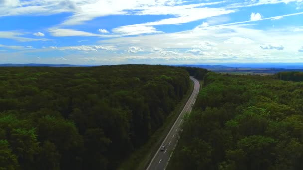 Légi felvétel az útról, autókkal a zöld erdőn keresztül. 4k — Stock videók