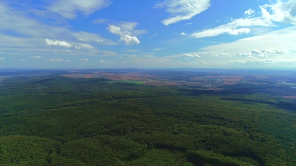 Imágenes aéreas de aviones no tripulados: sobrevolando bosques de verano, colinas y prados con bosques de pinos bajo la luz suave del sol. 4K — Vídeo de stock