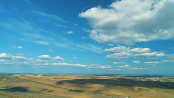 Luftaufnahme rund um das Dorf an einem sonnigen Tag im Sommer. 4k — Stockvideo