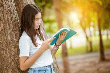Yazın gün batımında parkta kitap okuyan Asyalı bir kız. Tayland 'da kitap okuyan Asyalı bir kadın. Asyalı güzel kadın parktaki büyük ağaçta kitap okuyor..