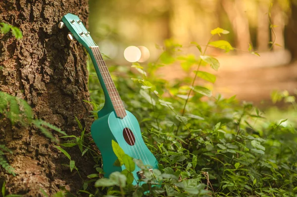 Gitara Ukulele Górskim Krajobrazie Sosnowym Lesie Zdjęcie Przedstawia Instrument Muzyczny — Zdjęcie stockowe