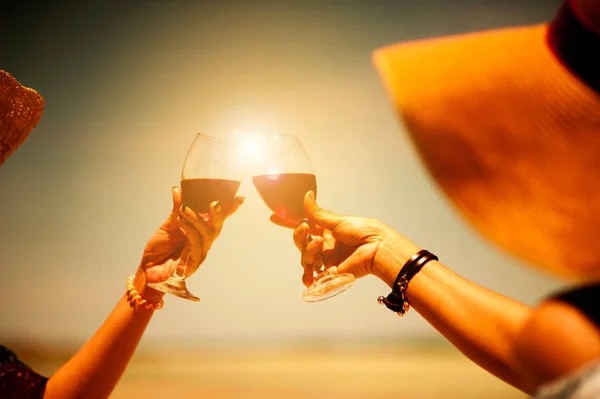People Holding Glasses Red Wine Making Toast Beach Picnic Summer — Stock Photo, Image