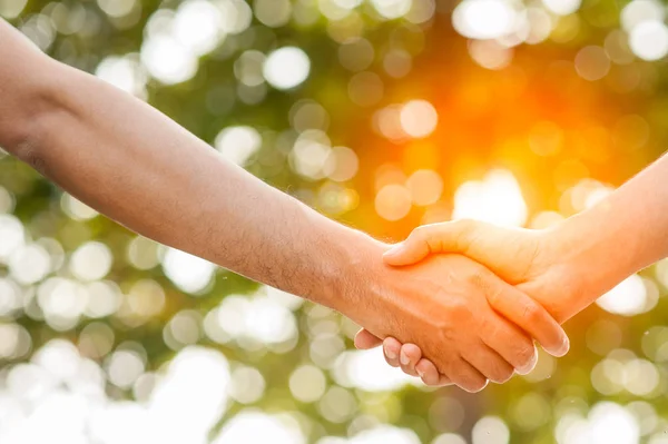 Shake Hands Park Finishing Meeting Men Shaking Hands — Stock Photo, Image