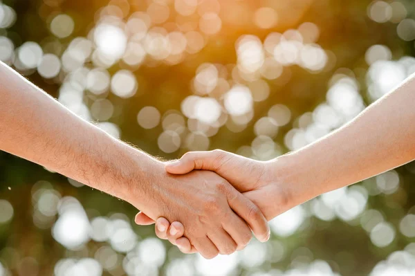 Shake Hands Park Finishing Meeting Men Shaking Hands — Stock Photo, Image