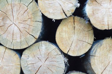 Katlanmış günlükleri birbiri üstüne yığılmış. Yakın çekim.