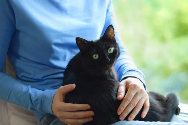 Kız Siyah Bir Kedi Tutuyor Yakın Çekim — Stok fotoğraf