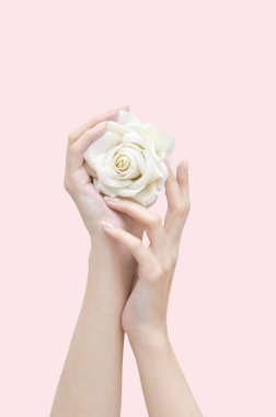 Beyaz kadın elinde gül. Pembe izole.