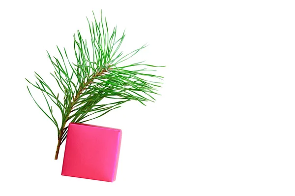 Branch Christmas Tree Small Red Box White Isolate — Stock Photo, Image