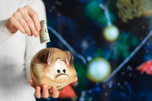Girl Holds Piggy Bank Her Hands Puts Dollar Background Christmas — Stock Photo, Image