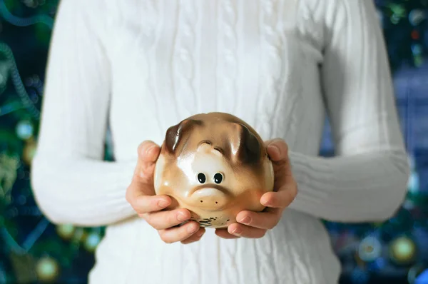 Girl Holds Piggy Bank Hands Pig Background Christmas Tree — Stock Photo, Image