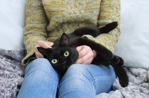 Gato Preto Está Nas Mãos Menina Casa Sofá — Fotografia de Stock