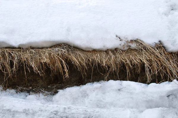 Derretimiento Nieve Acantilado Hierba Seca Suelo Primavera —  Fotos de Stock