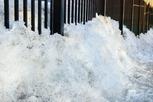 Primavera Derretimiento Nieve Una Deriva Nieve Sucia Cerca Una Valla —  Fotos de Stock