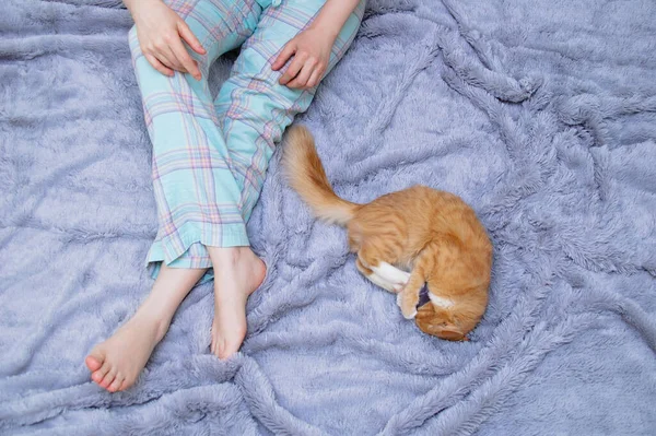 一只小红猫和一个女孩的腿躺在一张灰色的格子床上 — 图库照片