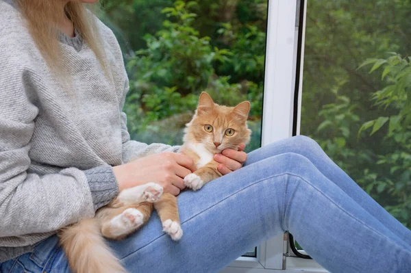 Pencerenin Pervazında Oturan Beyaz Kadın Kırmızı Kedi — Stok fotoğraf