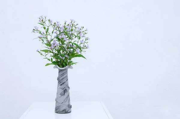 Field Purple Flowers Gray Vase Interior Room Background White Wall — Stock Photo, Image