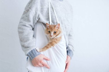 Sıfır atık. Beyaz pamuklu bir çantadaki bej kedi, beyaz bir kadının omzunda..