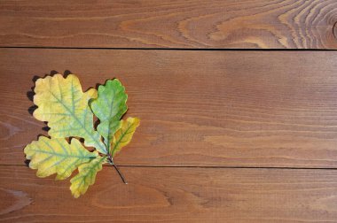 Kahverengi ahşap arka planda sonbahar meşe yaprağı. Metin için yer..