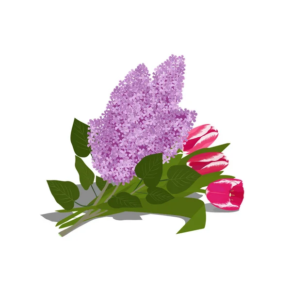 Bouquet Lilac Tulips Vector Illustration — Stock Vector