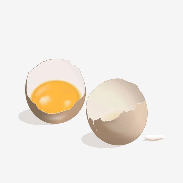 Yumurta Sarısı Yumurta Kabuğu Ile Kırık Yumurta Gerçekçi Vektör Illüstrasyon Stok Vektör