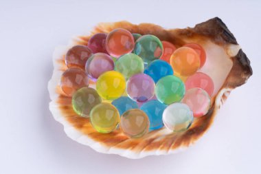 Çok renkli hydrogel topları makro ile deniz kabuğu
