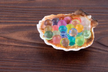 Çok renkli hydrogel topları makro ile deniz kabuğu