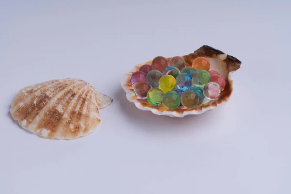 Морська оболонка з різнокольоровими гідрогелевими кульками макро — стокове фото