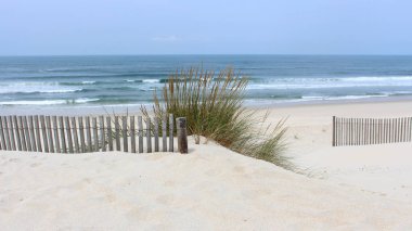 Vagueira Plajı'nda sabah deniz yulaf ve dune çit Aveiro, Portekiz