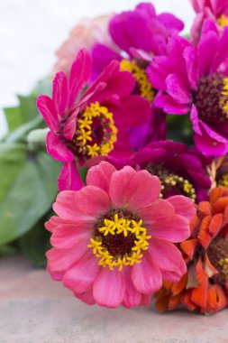 Çiçek aranjmanı pembe çiçeğe bakın, closeup