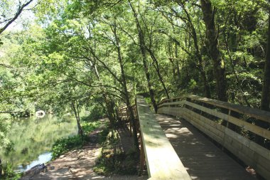 Paiva yürüyüş yolları Paiva Nehri'nin sol kıyısında Arouca eyâletinde bulunan Aveiro, Portekiz.