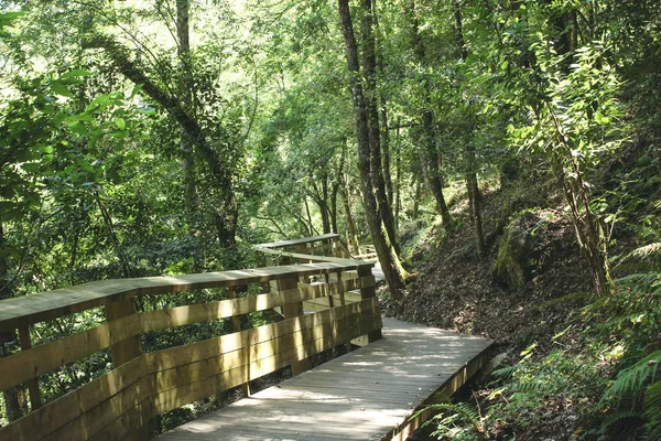 Zigzag wooden walkway found in Arouca municipality. Paiva Walkways in Aveiro, Portugal