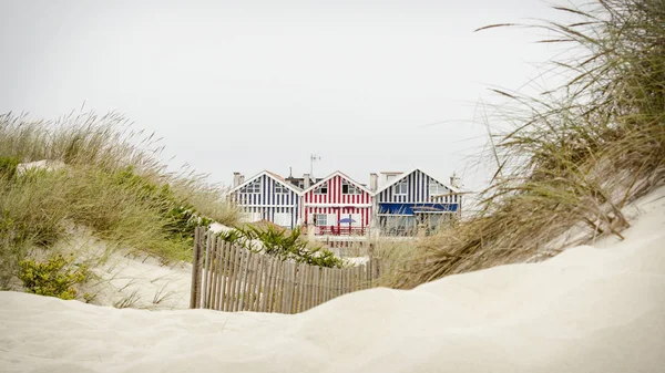 Idyllic and quaint beach houses seen from beach dunes. Beach houses with colorful stripes from Costa Nova, Portugal.