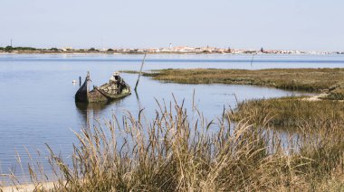 Küçük ve zayıf düşmüş batık tekne yarı batık-Haliç, bitki örtüsü ile çevrili içinde. Ufuk küçük şirin kasabasında.