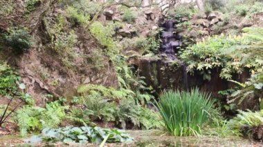 Güzel ve pastoral şelale çevrili yemyeşil yeşil bitki örtüsü parlak güneşli bir günde. Sintra, Portekiz'de bulunan.