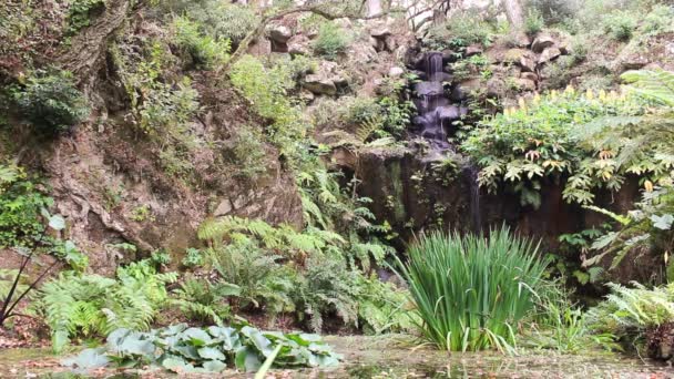 Beautiful and idyllic waterfall surrounded by lush green vegetation in bright sunny day. Located in Sintra, Portugal. — Stock Video