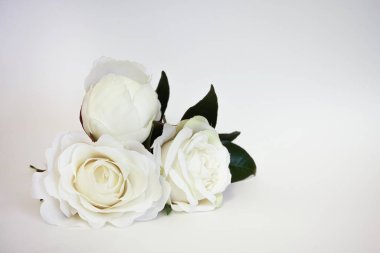 Beyaz arka plan güzel yapay beyaz gül. Kopya alanı ile minimalist anneler günü kutlama.