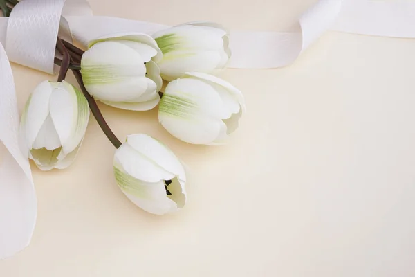 Beautiful fake white tulips with ribbon in pastel background. Concept for Mothers Day celebration with copy space. Stock Picture