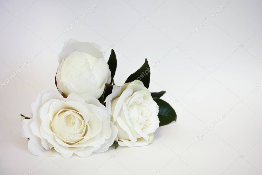 Beautiful artificial white roses in white background. Minimalistic Mothers Day celebration with copy space.