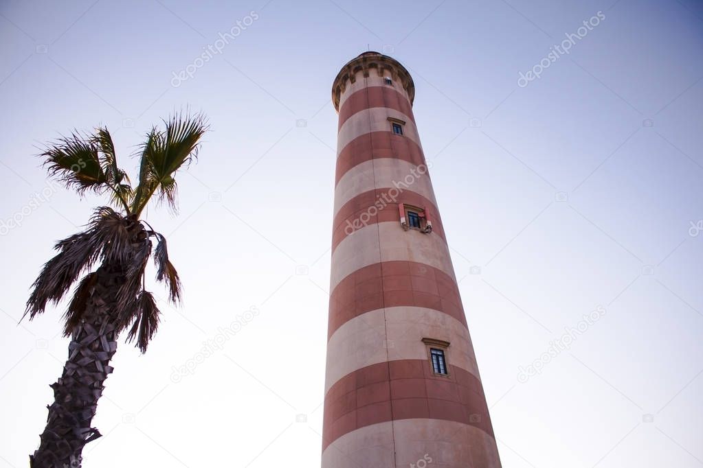 Low-angle photo of the Lighthouse of Praia da Barra next to a palm tree, during a bright and cloudless day.
