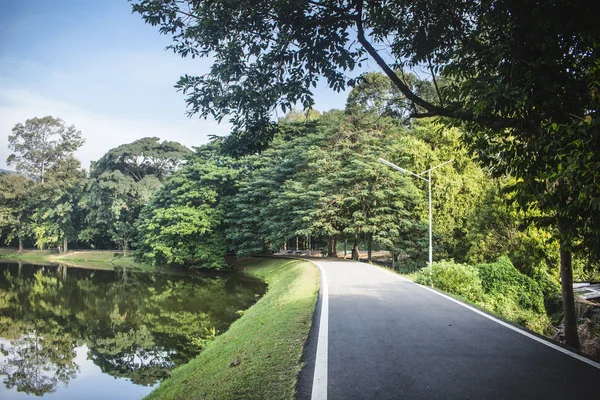 Vista pacífica da estrada de asfalto entre árvores lindas e lago, em dia ensolarado. Em Chiang Mai, Tailândia . — Fotografia de Stock