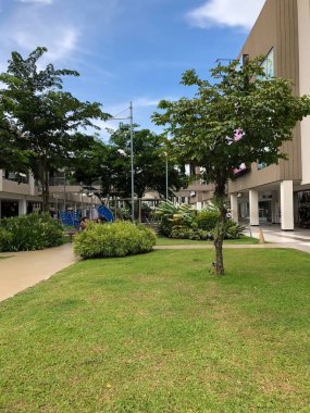 Bir park ve oyun alanında ağaçlar ve bitkiler çim ile