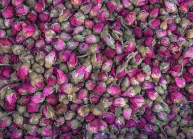 arka plan gül kuru tomurcukları