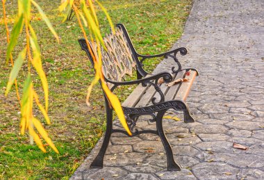 Sahte tezgah. Sarı yaprak ve ot. Parkta bir banka. Tezgah gün batımında. Dövme Dükkanı. Dökme demir tezgah tezgah. Sonbahar Park.