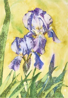 Renk suluboya yer paylaşımlı grafik ile. Stilize Iris çiçekler.