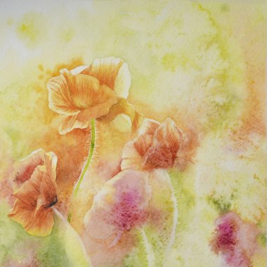 Sulu boya çizim, parçası, bir arka plan üzerinde haşhaş